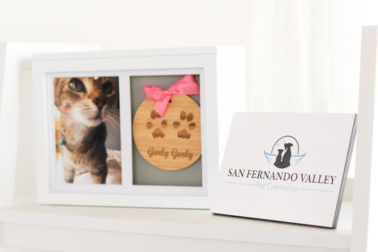 What Is a Pet Funeral Home? A Place of Comfort, Care, and Compassion for Pet Parents