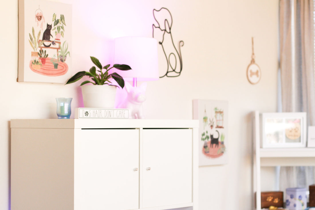 The First Pet Funeral Home in the San Fernando Valley - San Fernando Valley Pet Cremation