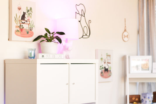 The First Pet Funeral Home in the San Fernando Valley - San Fernando Valley Pet Cremation