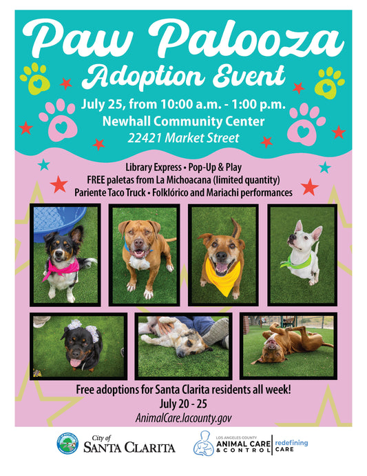 Paw Palooza 2026: Join Santa Clarita Pet Cremation for a Day of Pet Adoption & Community Fun
