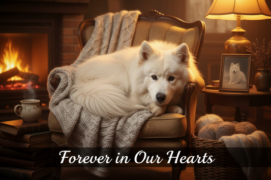 Pet Cremation Near Me in the San Fernando Valley: Serving Granada Hills, Northridge, Van Nuys &amp; Surrounding Communities