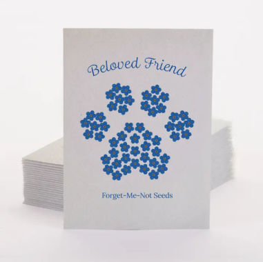 Planting Healing Into the New Year: A Gift for Our Pet Parent Community