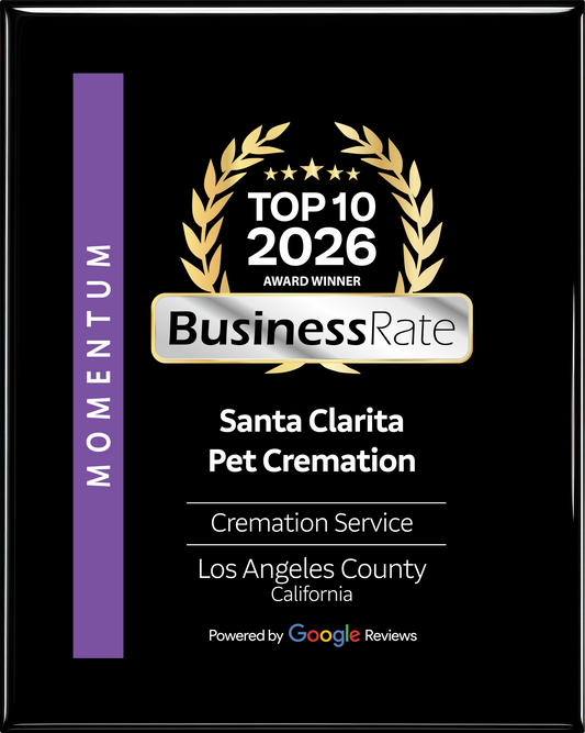 Award-Winning Care: Our Sister Location Santa Clarita Pet Cremation Named Top 10 in Los Angeles County